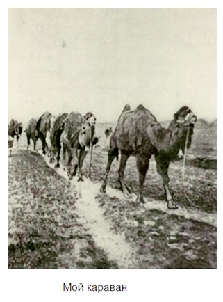 persya_061.jpg