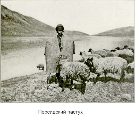 persya_116.jpg