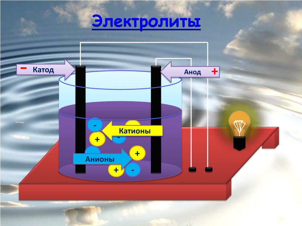 slide11-l.jpg
