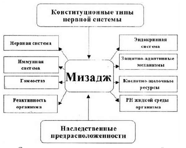 Suhnost Mizadja_2.jpg