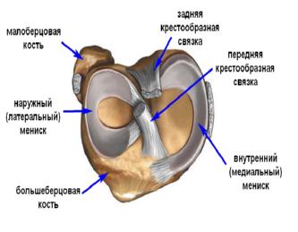verh_zodiak_medicina_3.jpg