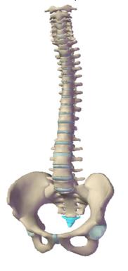 verh_zodiak_medicina_4.jpg